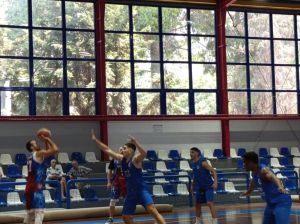 eleftheriamosxatougsgargalianwnf3_result